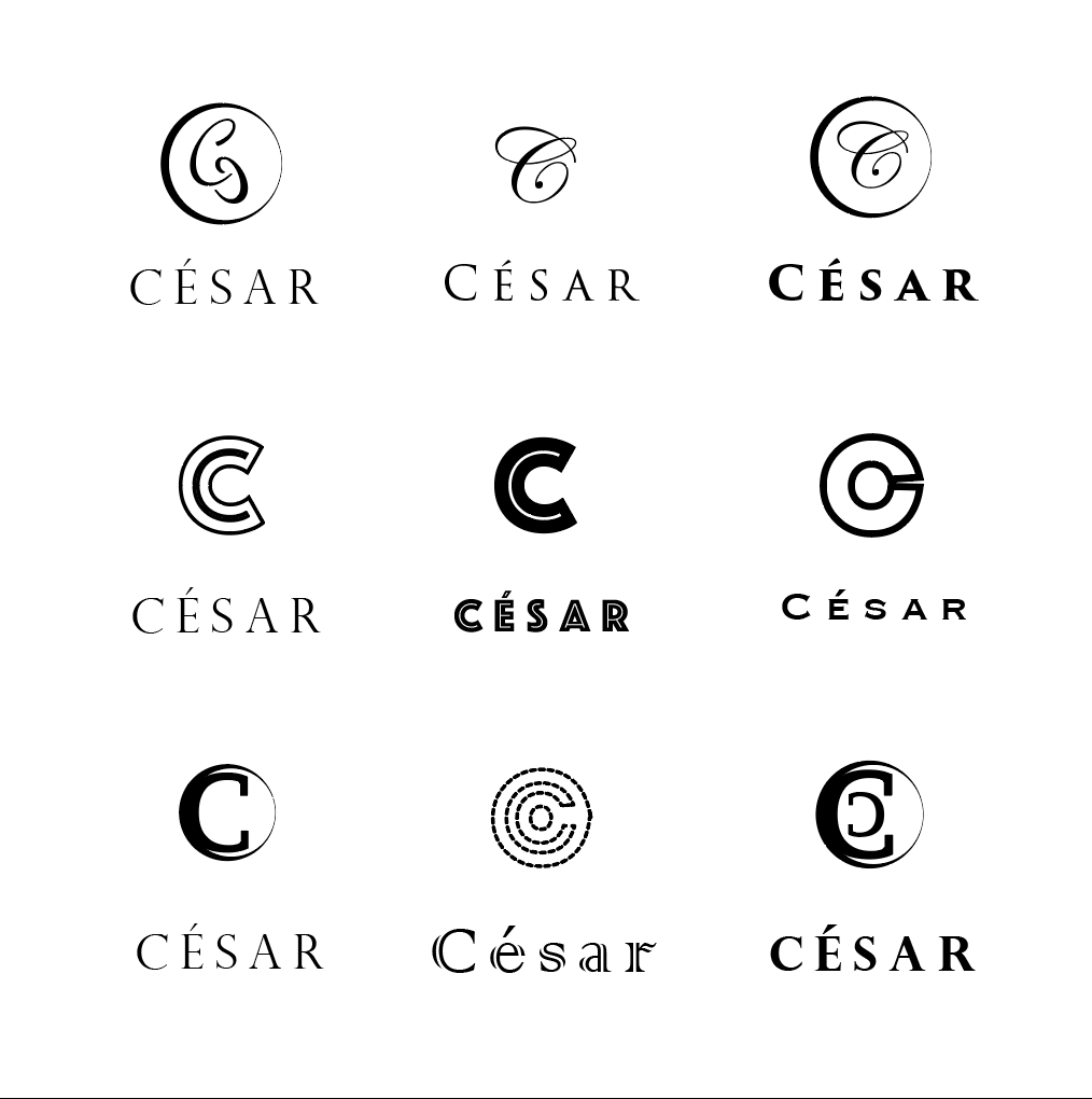 Plusieurs exemples de variantes de logo